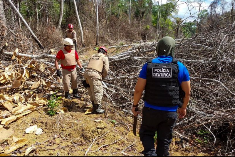 Operação 'Curupira': estratégia do Governo do Pará para coibir crimes e preservar a floresta | FOTO: ASCOM/PCEPA