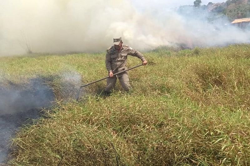 Bombeiro militar atuando na Operação 'Fênix' | FOTO: ASCOM/ CBMPA