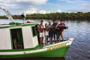 Projeto Gosto da Amazônia leva chefs de cozinha do Rio de Janeiro até a Terra Indígena Paumari, no sul do Amazonas, para conhecer o manejo do pirarucu e seus impactos econômicos, sociais e ambientais na região. Os chefs criarão pratos com o pirarucu, o maior peixe de escamas de água doce do mundo, para contribuir com a introdução do produto no mercado do Rio de Janeiro.

Na foto: Indígenas Paumari trazem um pirarucu que acabaram de pescar em um dos lagos da aldeia

Foto Marizilda Cruppe