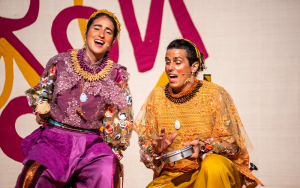 Luiza Palhares Espetáculo PRONCOVÔ