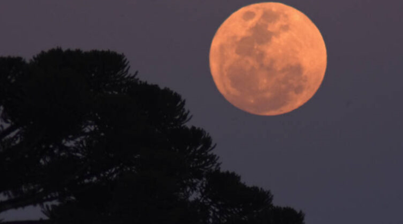 WhatsApp-Image-2024-08-19-at-13.44.19-768x512