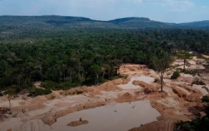 Foto: divulgação/PF