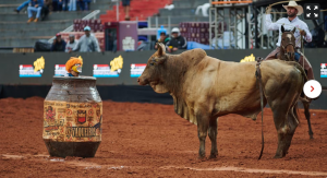 Fotos da Final Internacional da montaria em touros da Festa do Peão de Barretos 2024 — Foto: Érico Andrade/g1