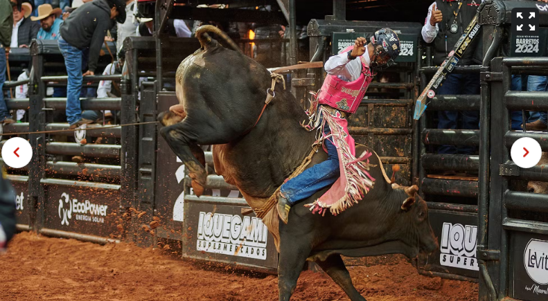 Fotos da Final Internacional da montaria em touros da Festa do Peão de Barretos 2024 — Foto: Érico Andrade/g1