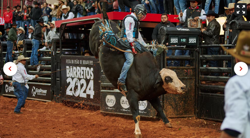 Fotos da Final Internacional da montaria em touros da Festa do Peão de Barretos 2024 — Foto: Érico Andrade/g1
