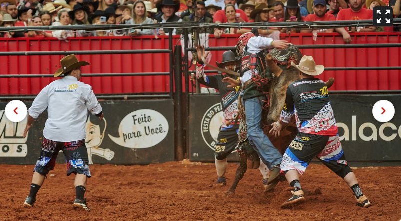 Fotos da Final Internacional da montaria em touros da Festa do Peão de Barretos 2024 — Foto: Érico Andrade/g1