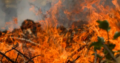 Inpe monitora queimadas no Brasil (Foto: Agência Brasil)