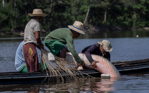 rgrrrrrrrrrrrrrrrrrrr