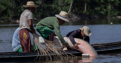 rgrrrrrrrrrrrrrrrrrrr