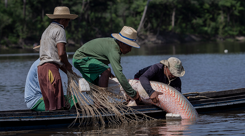 rgrrrrrrrrrrrrrrrrrrr