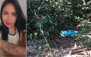 3f350937d24f07584741340d01cf2693