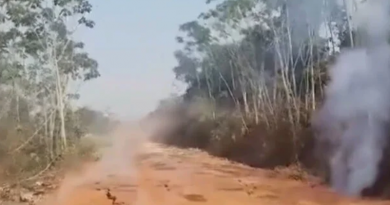 54BEB081-B338-4E3F-B6E2-4AE406DEE196-696x379