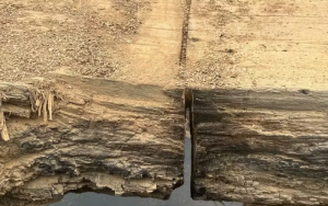 Polícia Federal investiga suspeitos de danificar ponte para impedir operação de retirada de gado em TI, no Pará. — Foto: Divulgação/PF