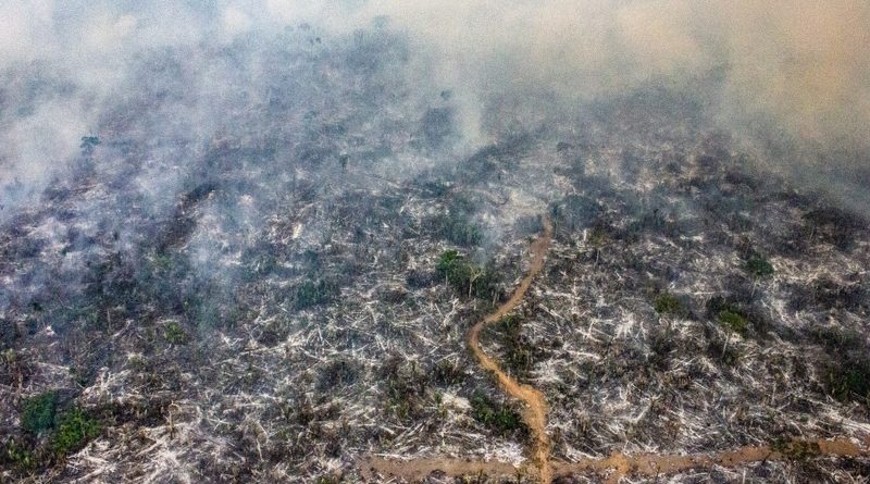 Focos de incêndio próximo de reserva ecológica do Mapinguari, no Amazonas. Foto: Fábio Bispo/InfoAmazonia