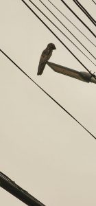 Skype_Picture_2024_09_09T17_42_47_200Z