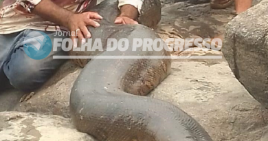 WhatsApp Image 2024-09-16 at 13.28.34 (1) (1)