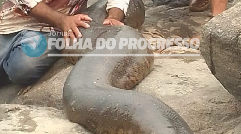 WhatsApp Image 2024-09-16 at 13.28.34 (1) (1)