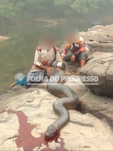 WhatsApp Image 2024-09-16 at 13.28.34 (2)