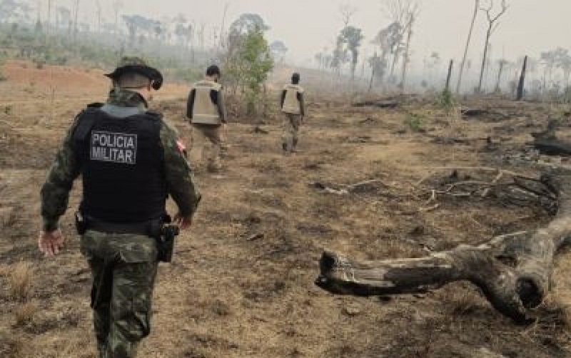 ce7d0319c7c84a30a08dd94206181368