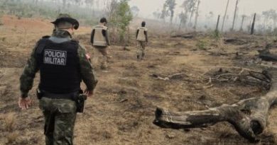 ce7d0319c7c84a30a08dd94206181368