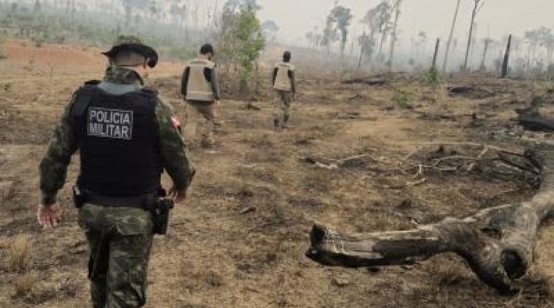 ce7d0319c7c84a30a08dd94206181368