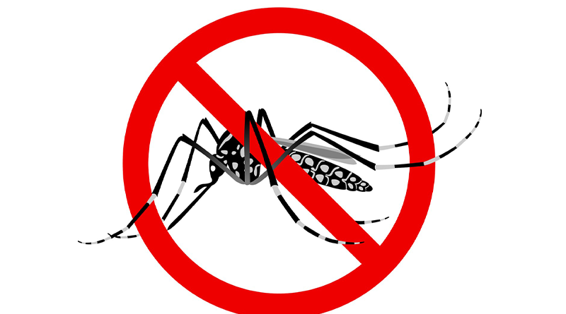 dengue