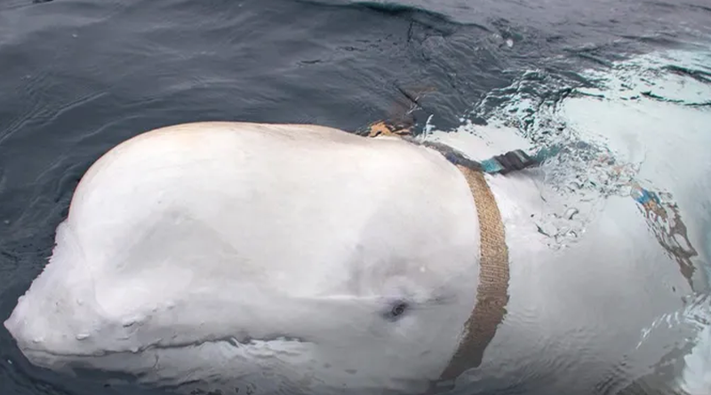 fotos-Recuperado-Recuperado