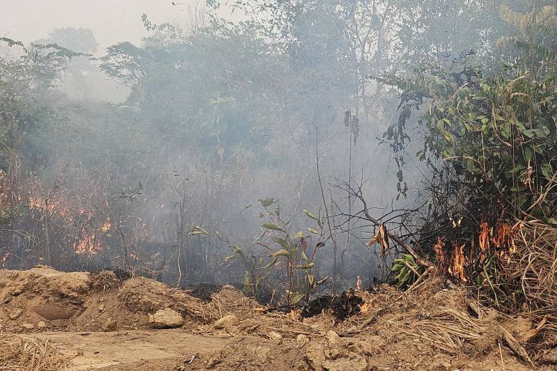 A área incendiada fica em uma fazenda, na zona rural de Novo Progresso Foto: Ascom / Segup