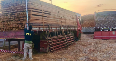 e155a57c-ab5a-473e-86f7-6fb01270e790