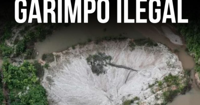 garimpo ilegal