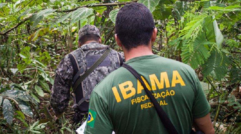 ibama força nacional
