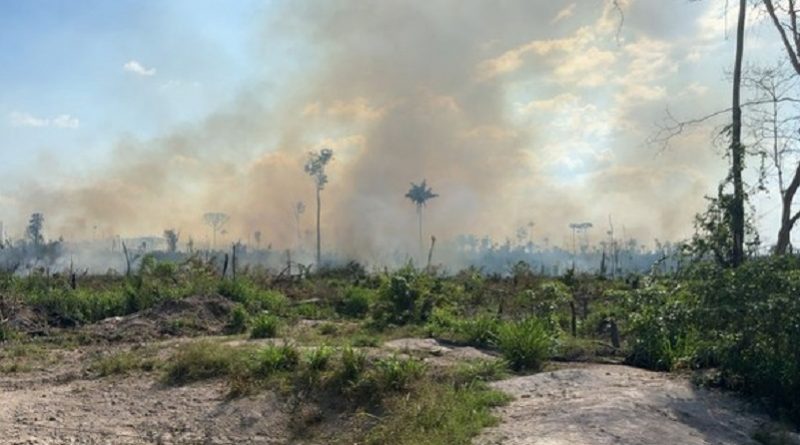 queimada novo progresso