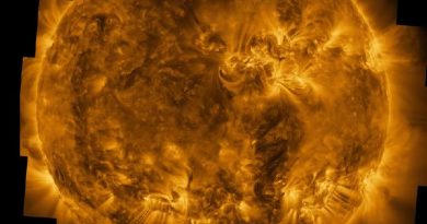 Esta imagem mostra a direção do campo magnético na superfície do Sol, chamada de ‘magnetograma’, capturada por um instrumento a bordo da Solar Orbiter em 22 de março de 2023. — Foto: ESA & NASA/Solar Orbiter/PHI Team