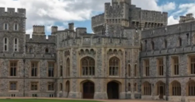 Design sem nome (20)