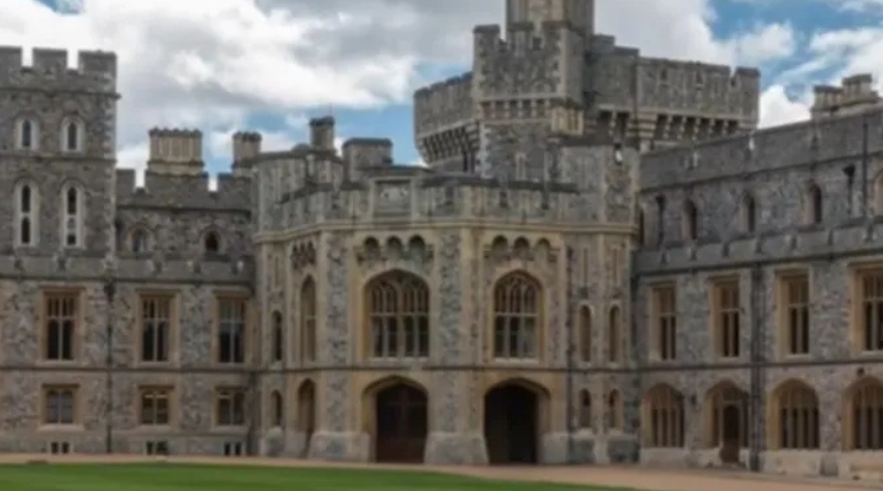 Design sem nome (20)