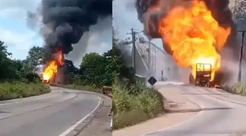 Design sem nome (22)