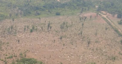 Design sem nome (25)