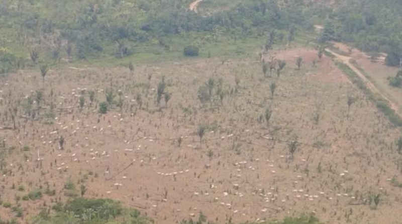 Design sem nome (25)