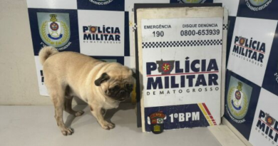 Design sem nome (39)