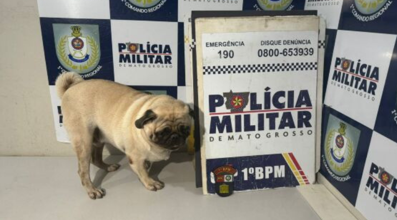 Design sem nome (39)