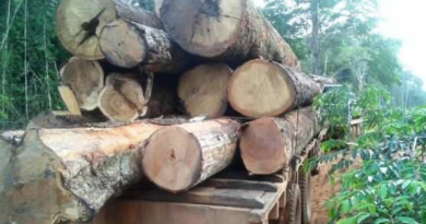 Design sem nome (40)