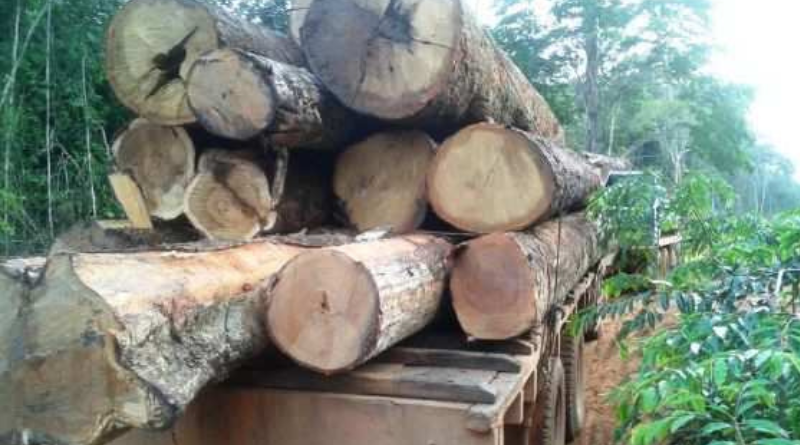 Design sem nome (40)