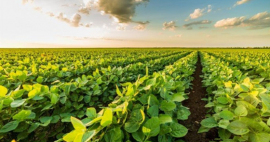 Design sem nome (47)