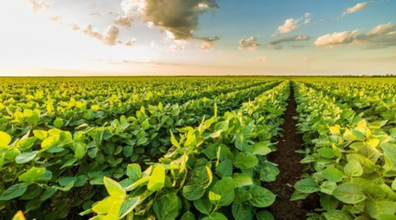 Design sem nome (47)