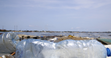 Design sem nome (59)