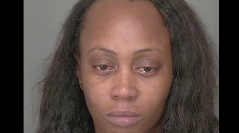 Design sem nome (60)