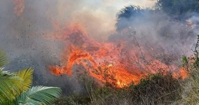 A Amazônia foi o bioma mais afetado pelo fogo em 2024 – (Foto:Arquivo/Reprodução)