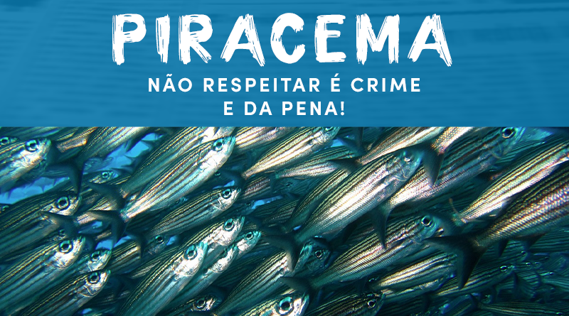 PIRACEMA