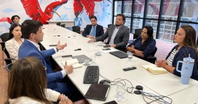 Reunião MPF MPPA Semas REDD+ 19 nov 2024