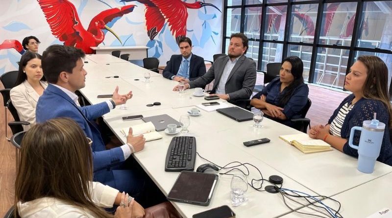 Reunião MPF MPPA Semas REDD+ 19 nov 2024